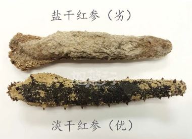 海参里的盐--关于盐干和淡干海参那点事