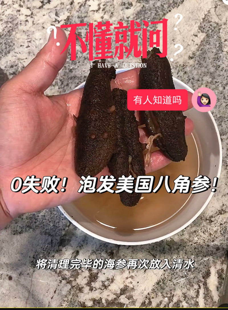 0失败！新手也能轻松泡发美国加州八角参！ how to soak the warty sea cucumber！