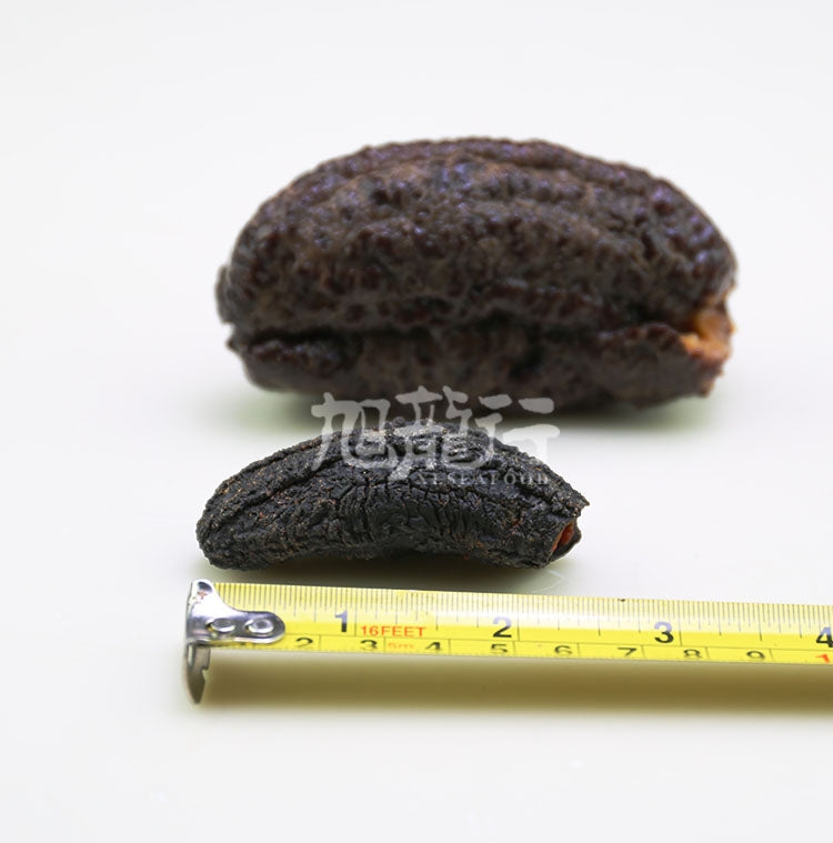 野生淡干加拿大原只圆筒叶瓜参/北冰参(常规装)