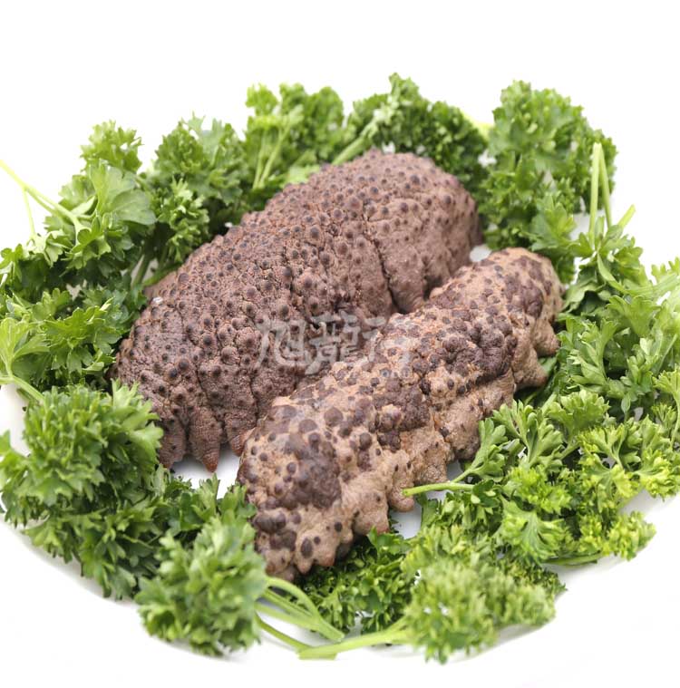 XLSEAFOOD Sea Cucumber Sample Combo (4 types)