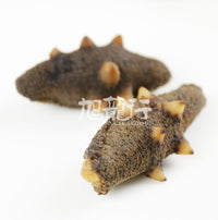 XLSEAFOOD Sea Cucumber Sample Combo (4 types)