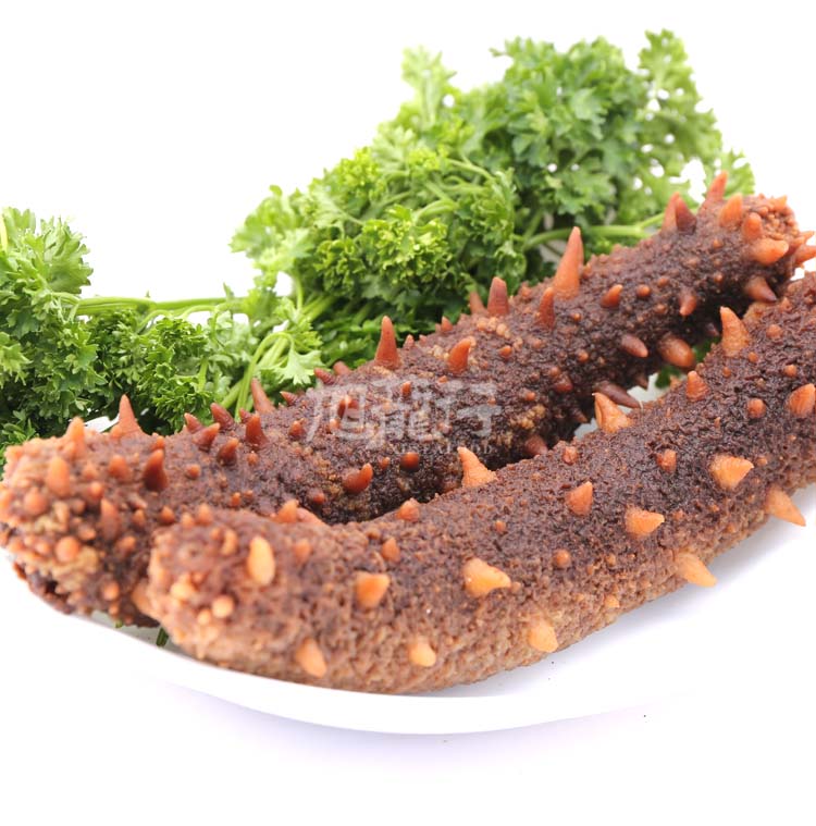 XLSEAFOOD Sea Cucumber Sample Combo (4 types)