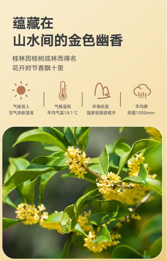 特级干桂花(常规装)