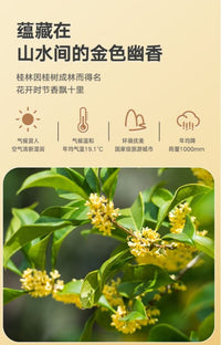 特级干桂花(常规装)