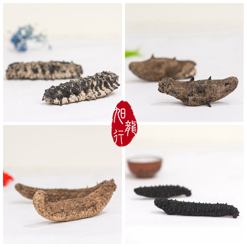 XLSEAFOOD Sea Cucumber Sample Combo (4 types)