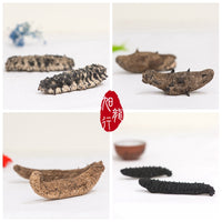 XLSEAFOOD Sea Cucumber Sample Combo (4 types)