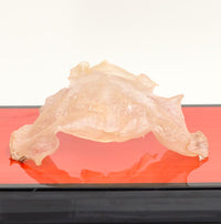 XLseafood Premium Mexico Sun-dried Grouper fish maw