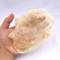 XLseafood Premium Mexico Sun-dried Grouper fish maw