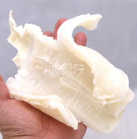 XLseafood Premium Mexico Sun-dried Grouper fish maw