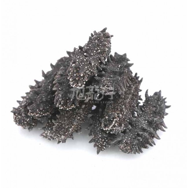 淡干日本关东刺参(试吃装)