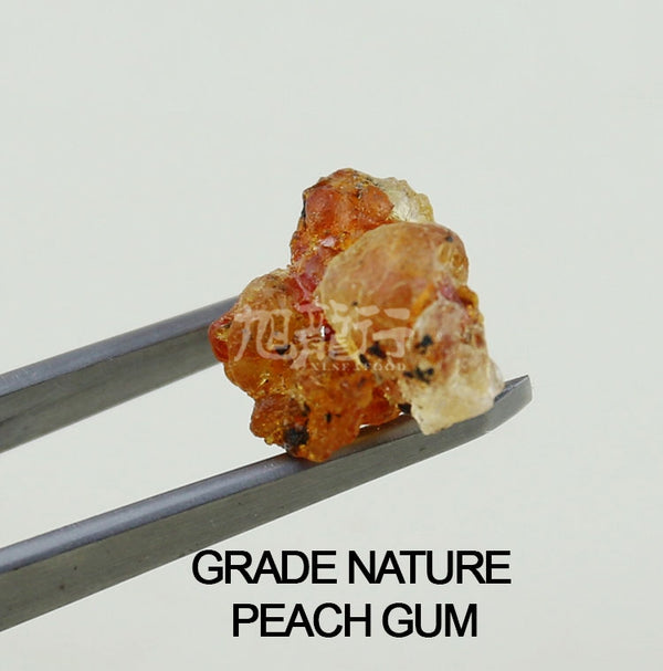 XLSEAFOOD CHINA YUNAN Grade Nature Jumbo Peach-gum
