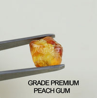 XLSEAFOOD CHINA YUNAN Premium Grade Peach-gum 