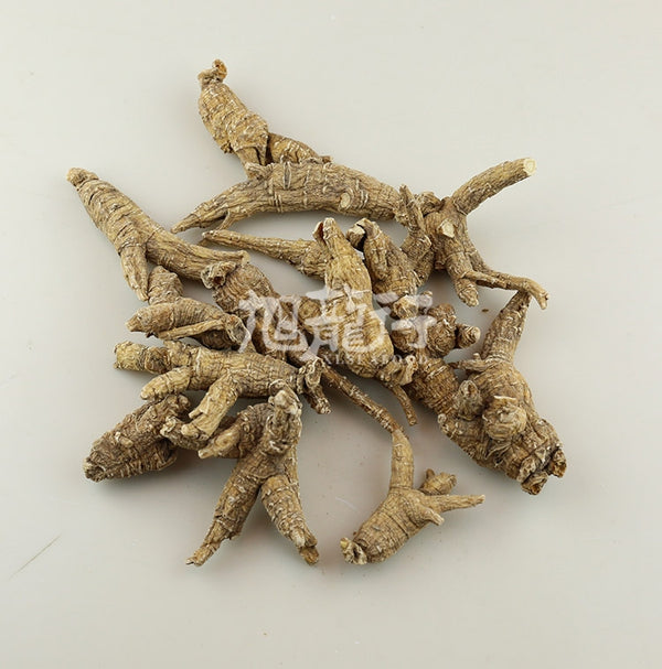 威州精選半野短枝花旗參#40(常規裝)