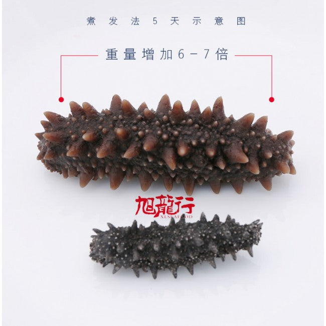 淡干日本关东刺参(试吃装)