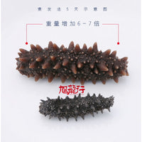 淡干日本关东刺参(试吃装)