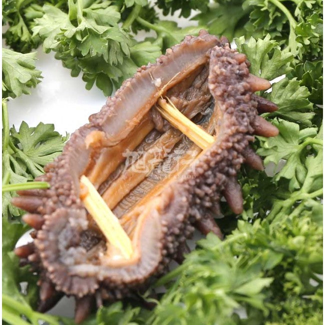 淡干日本关东刺参(试吃装)