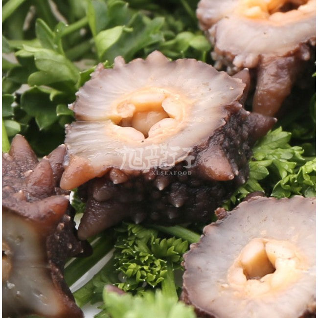 淡干日本关东刺参(试吃装)