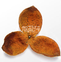 XLSEAFOOD CHINA Guangdong Xinhui Grade Premium Organic Nature Unsulphure 1-Year-Aged Tangerinepeel