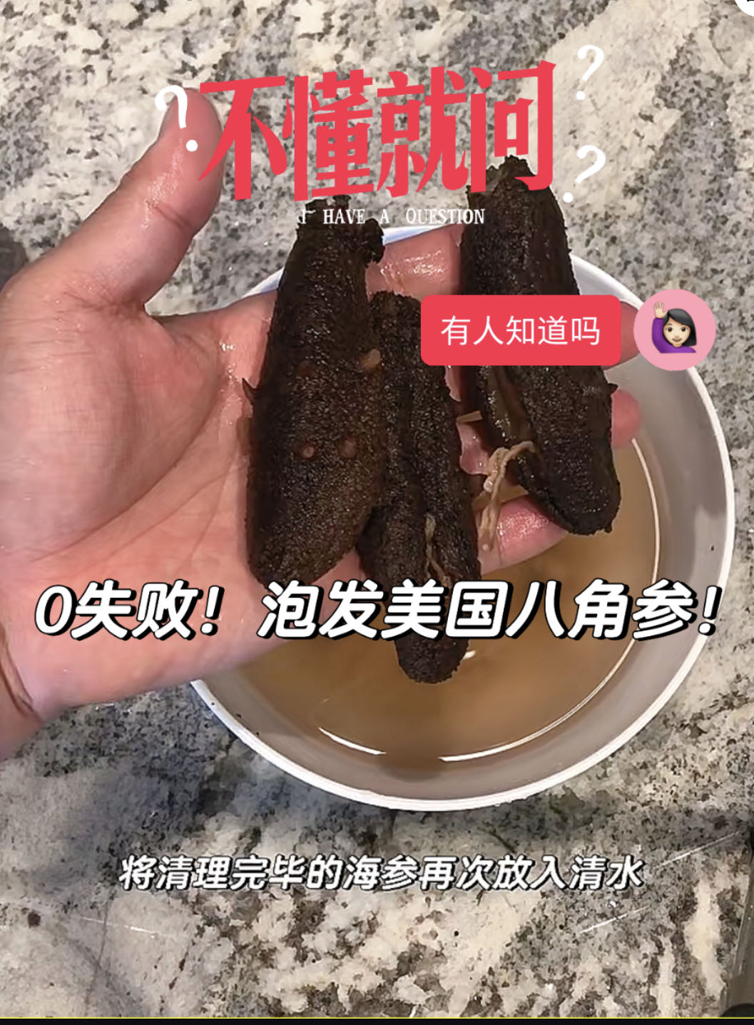 0失败！新手也能轻松泡发美国加州八角参！ how to soak the warty sea cucumber！