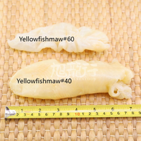 特级非洲野生淡干花胶筒(常规装)