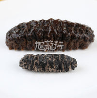 XLseafood South American double-row spiny sea cucumber (Sample)