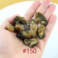 XLSEAFOOD Grade Premium Sun Dried Hiroshima Oyster from Japan