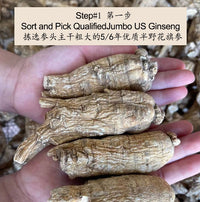 XLSEAFOOD Wisconsin American Premium Ginseng Slice