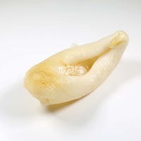 特级泰国巨暹罗鲤胶鸡蛋胶(常规装)