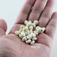 XLSEAFOOD Premium A+ China Sichuan Dried Peal Bulbus