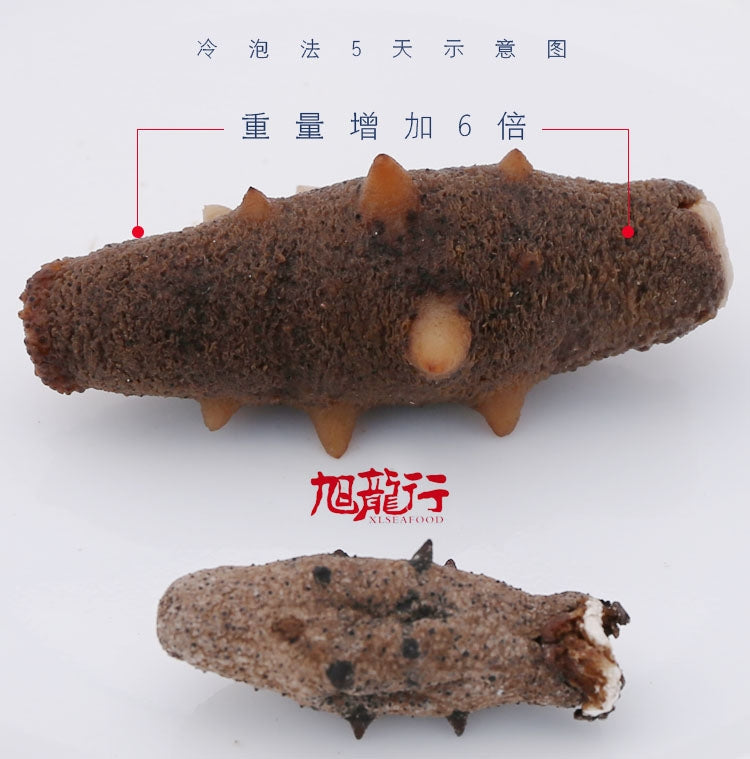 XLSEAFOOD Sun Dried California Eight Pin Warty Sea Cucumber Giftpack