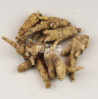 XLSEAFOOD Sun Dried Wisconsin American Premium Short Branch Ginseng #20