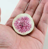 XLSEAFOOD CHINA Grade Premium California Dry Organic Fig Adriatic 