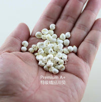 XLSEAFOOD Premium A+ China Sichuan Dried Peal Bulbus