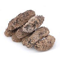 Wild Caught Sun Dried Galapagos Islands Sea cucumber