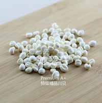 XLSEAFOOD Premium A+ China Sichuan Dried Peal Bulbus