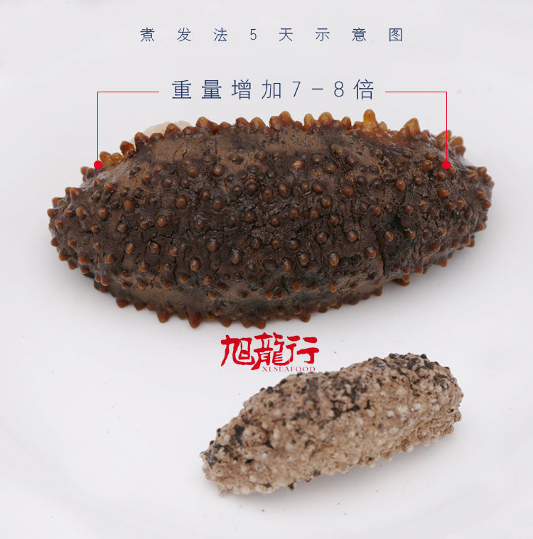 Wild Caught Sun Dried Galapagos Islands Sea cucumber