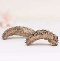 Wild Caught Sun Dried Galapagos Islands Sea cucumber