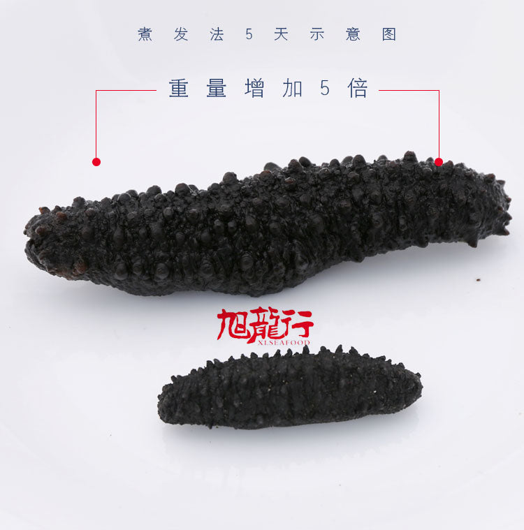 Xlseafood Wild Caught Arctics Black Sea cucumber