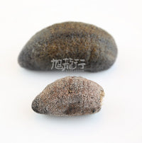 Xlseafood Wild Chilean dried grey sea cucumber (regular)