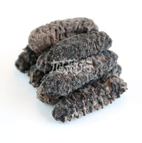 XLseafood South American double-row spiny sea cucumber