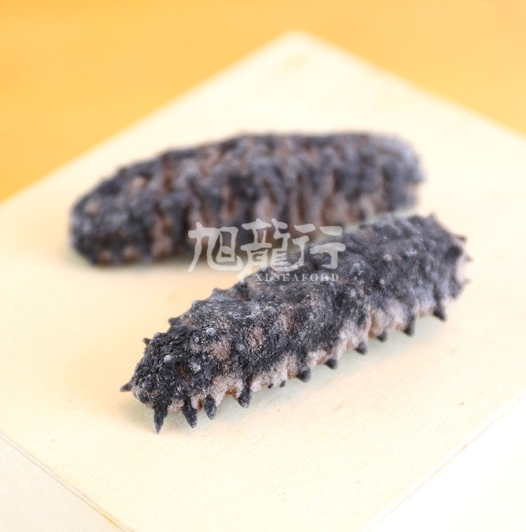 XLseafood South American double-row spiny sea cucumber (Sample)