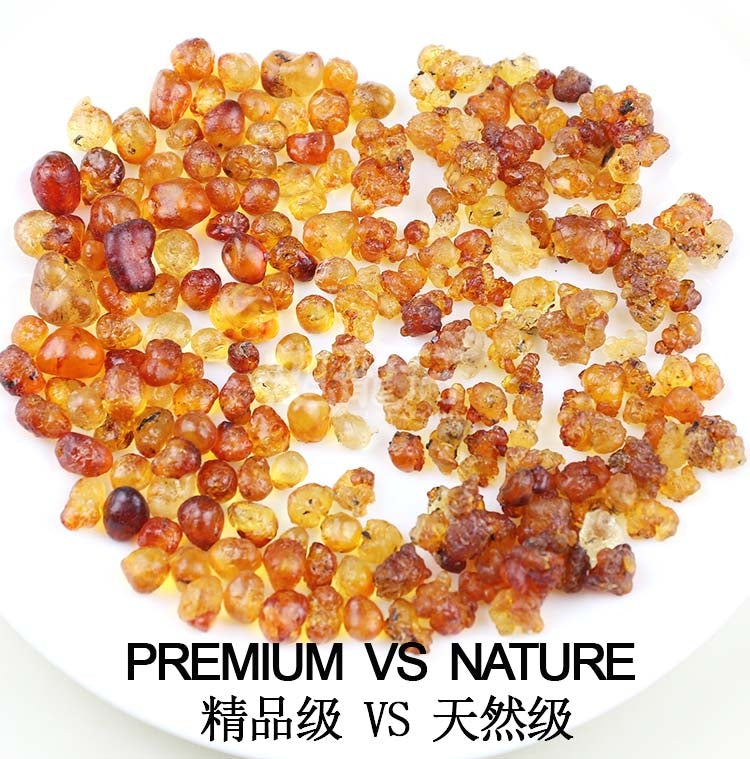 XLSEAFOOD CHINA  3in1 combo Peach-gum Xueyan Honey Locust 0.5lb 