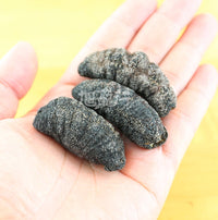 Xlseafood Wild Chilean dried grey sea cucumber (regular)