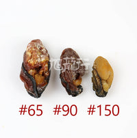 XLSEAFOOD Grade Premium Sun Dried Hiroshima Oyster from Japan