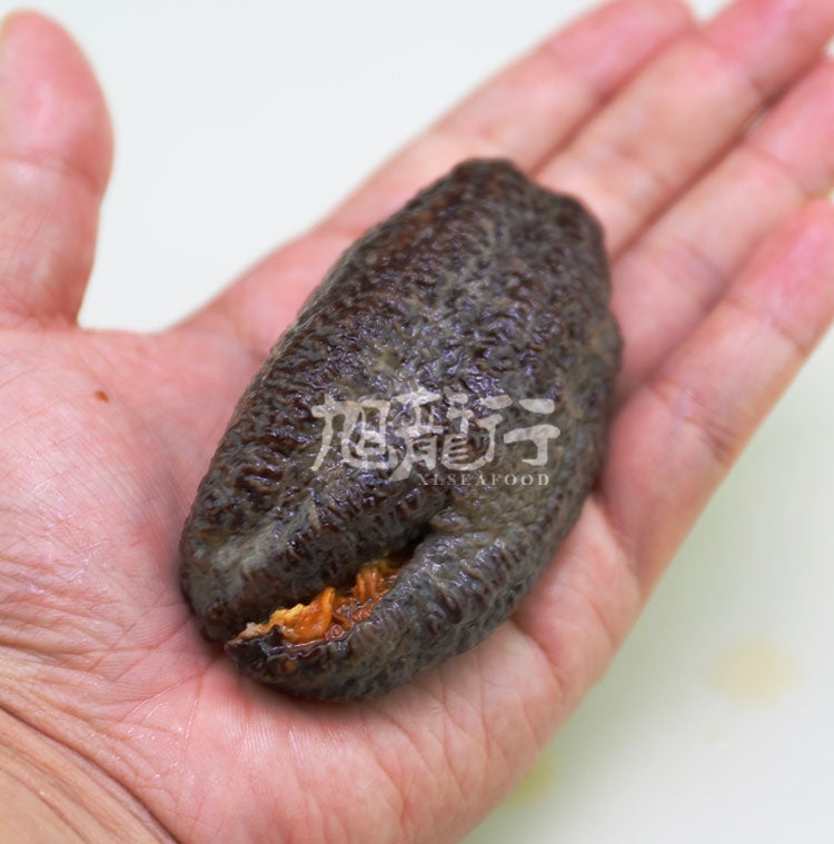 野生淡幹加拿大葉瓜參(北冰參烏參，團購裝)