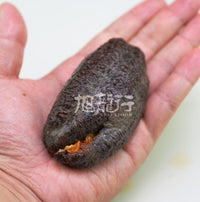 野生淡幹加拿大葉瓜參(北冰參烏參，團購裝)