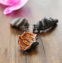 Xlseafood Sun Dried Wild Caught Canada Newfoundland Orange-foot Sea Cucumber（Sample）