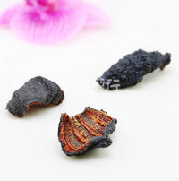 Xlseafood Sun Dried Wild Caught Canada Newfoundland Orange-foot Sea Cucumber（Sample）