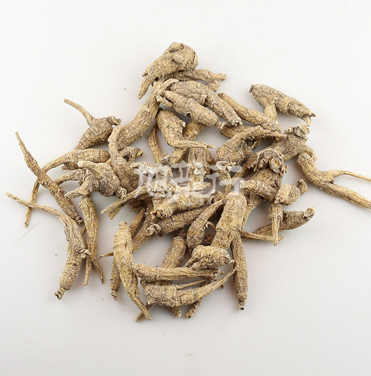 XLSEAFOOD Sun Dried Wisconsin American Premium Short Branch Ginseng #90