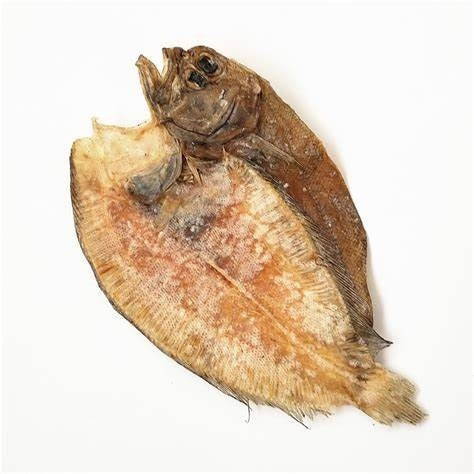 XLSEAFOOD Premium Sun-Dried Flatfish